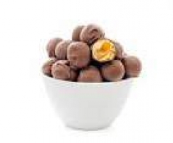 Apricot Chocolate Balls