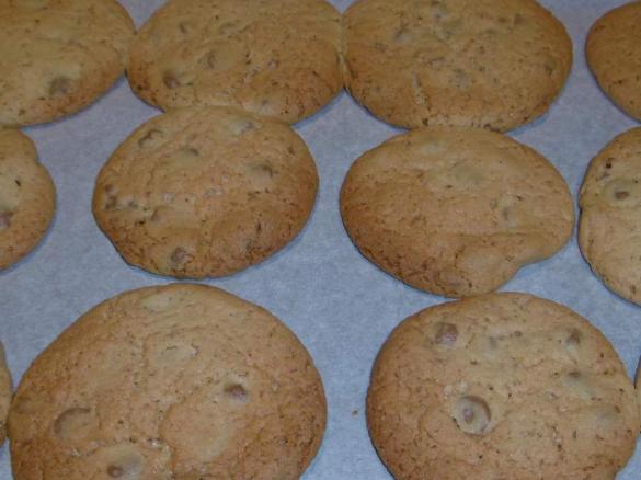 Chocolate chip biscuits