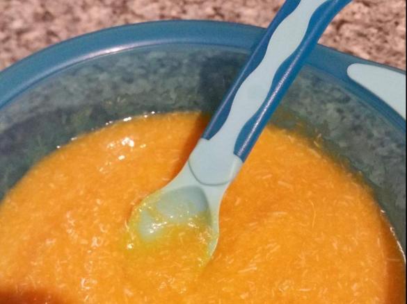 Baby Puree - Baby's first chicken casserole