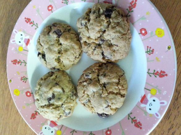 Choc Chip Oatmeal Crunchies