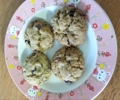 Choc Chip Oatmeal Crunchies