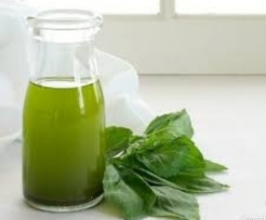 Basil oil