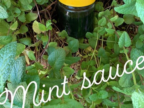 mint sauce tm5