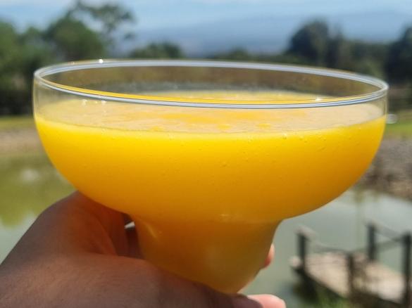Family Friendly Mango Daiquiri