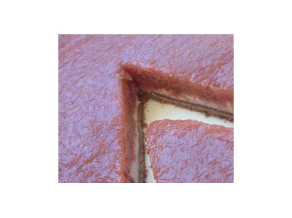 Chocolate Rhubarb Tart with Macadamia Lime Cream