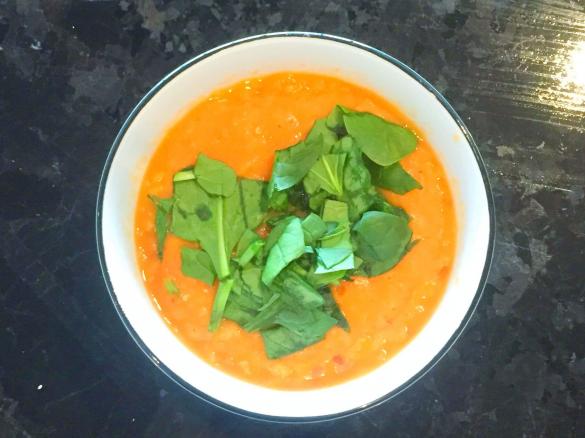 Red Curry Coconut and Lentil Soup