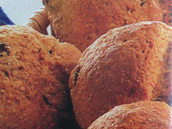 Breadrolls from Finnland