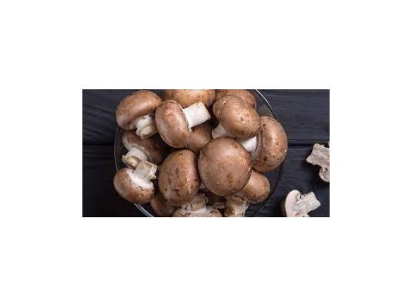 KETO FRIENDLY SALSBURY STEAK WITH MUSHROOM SAUCE