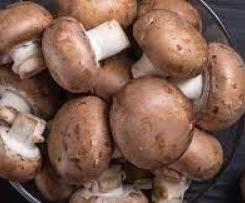 KETO FRIENDLY SALSBURY STEAK WITH MUSHROOM SAUCE