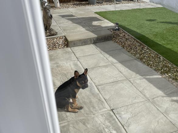 Variation Cinnamon Rolls  (Cinnabon Clone)