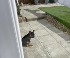 Variation Cinnamon Rolls  (Cinnabon Clone)