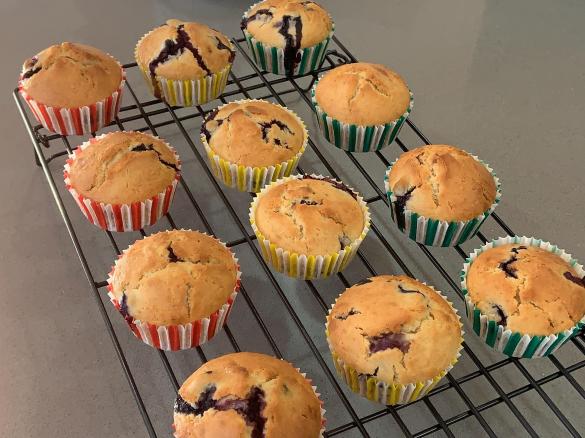 Vegan Blueberry Muffins