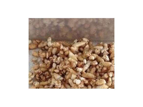 Bubble Cinnamon Crunch