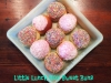 Little Lunchbox Sweet Iced Buns - Cream Buns TM5 TM31