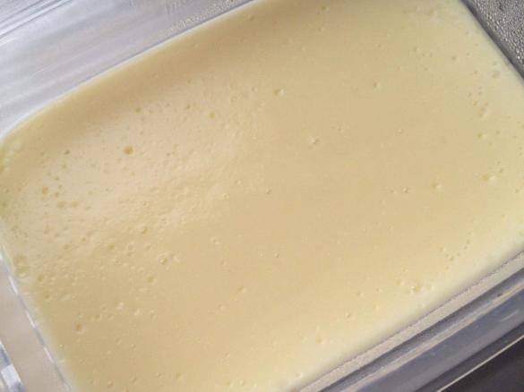 Chocolate Custard (Yogo-style)