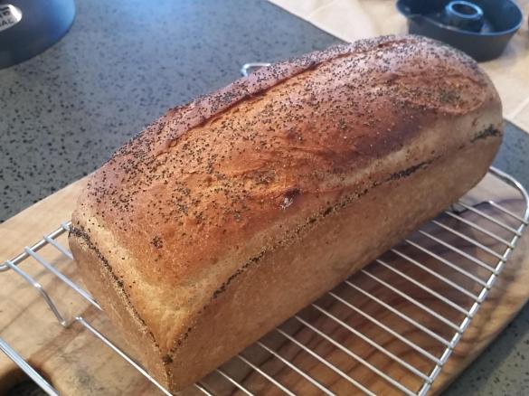 Hi-Fibre Bread Loaf or Rolls