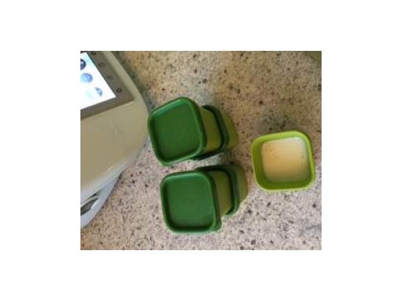 Baby Blancmange/ my first custard (egg free)