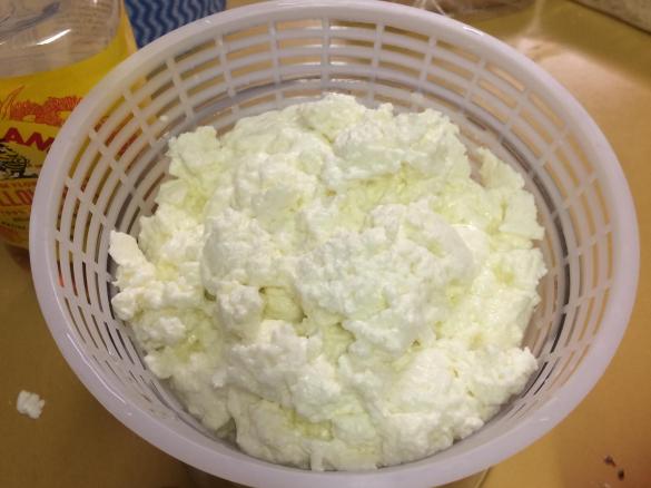 Variation Fresh Ricotta