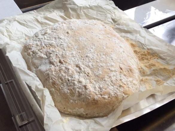 Ciabatta Bread 