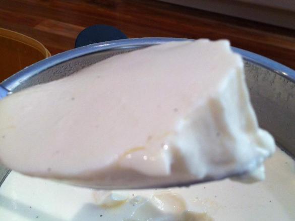 Shortcut Vanilla Yoghurt