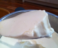 Shortcut Vanilla Yoghurt