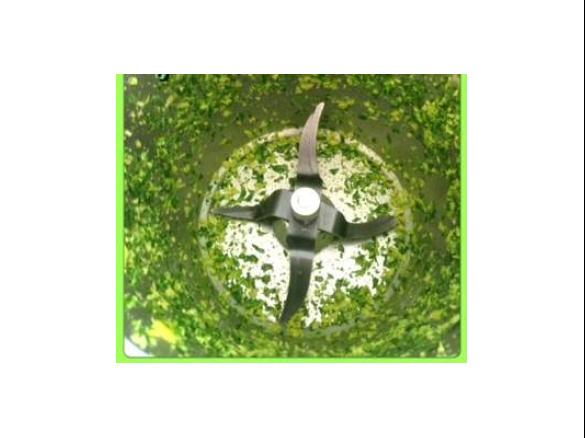 thai gremolata (healthy chef)