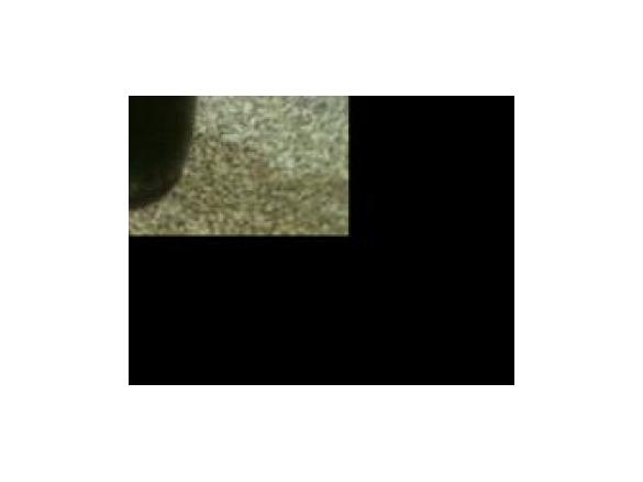 Jeanie's Chocolate Sauce