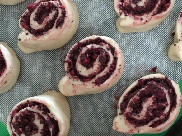 Black Forest Scrolls