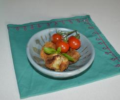 ThermoMonts Zucchini Croquettes