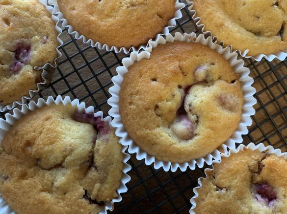 Raspberry and Choc Chip Muffins