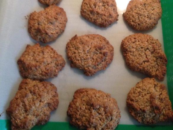 Lactation Cookies (Fructose Free)