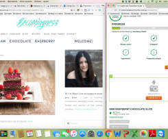 raw chocolate raspberry