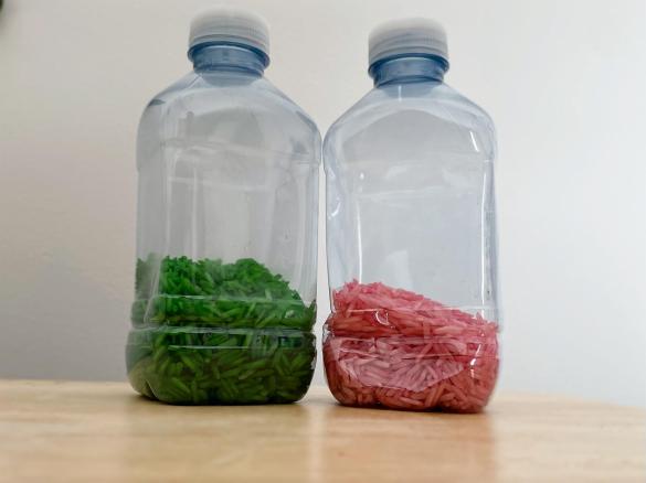 Taste Safe Sensory Rice