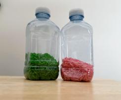 Taste Safe Sensory Rice