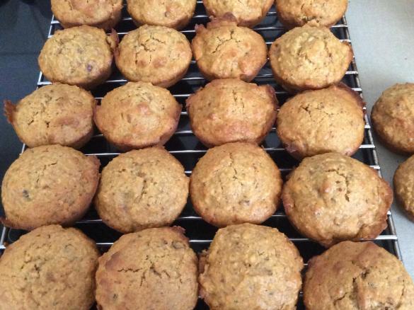 Variation Energy Muffins