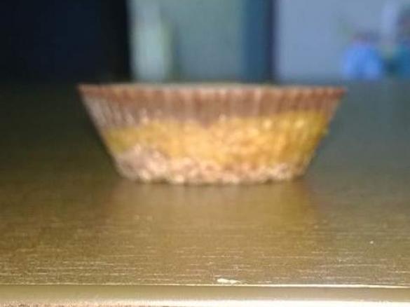 Caramel Slice (Paleo, vegan, raw, egg free, dairy free, gluten free)