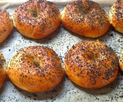 NewYork Style Bagels