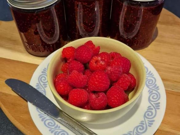 NELLIE'S RASPBERRY JAM