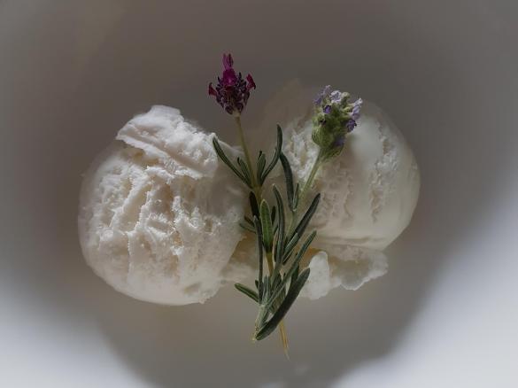 Lavender Icecream