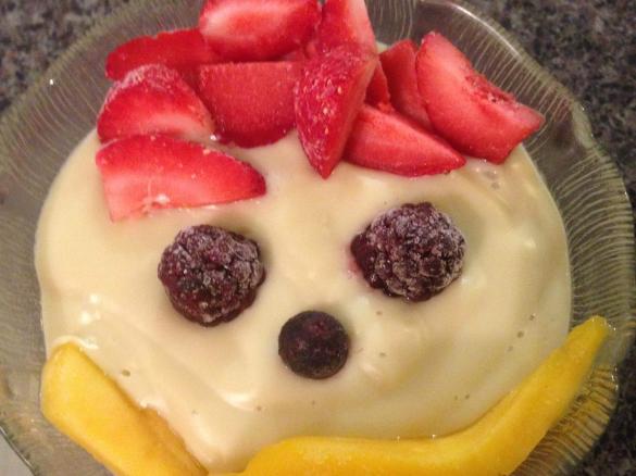 FODMAP FRIENDLY CUSTARD