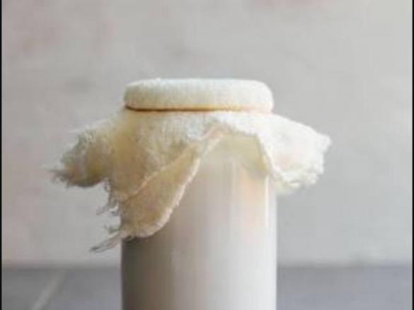 Coconut yoghurt: Gini's