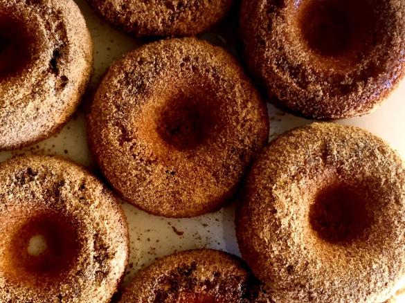 Gluten Free Paleo Cinnamon Donuts