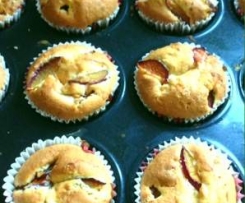 cupcakes (plum)