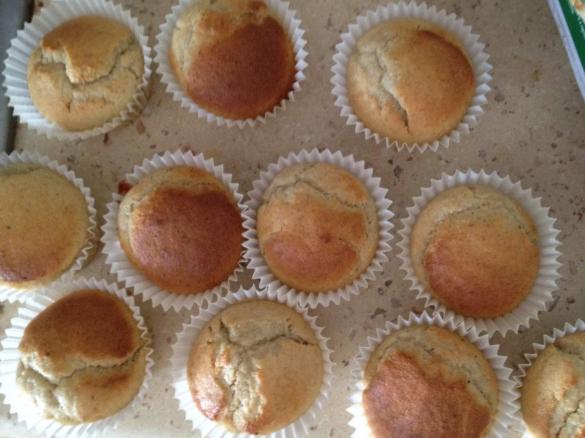 Fruity Gluten Free Muffins