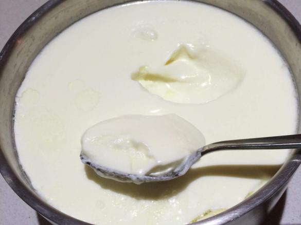 Double Batch of Yoghurt