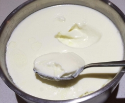 Double Batch of Yoghurt