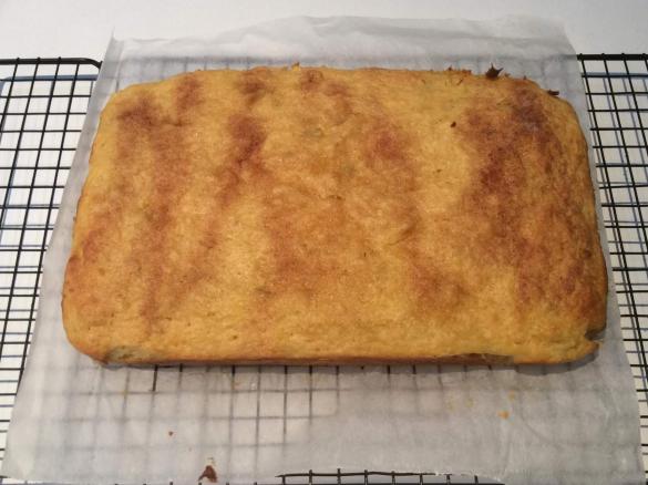 Apple and Apricot Slice