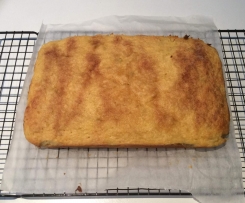 Apple and Apricot Slice