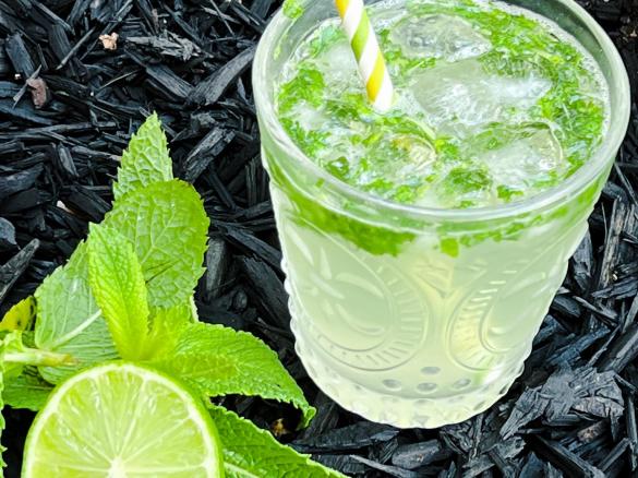 Mojito Cocktail
