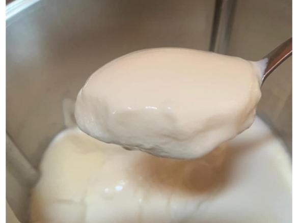 Michelle’s TM6 Yoghurt